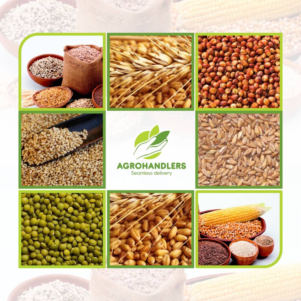 Get Food Stuffs Grains & Seeds